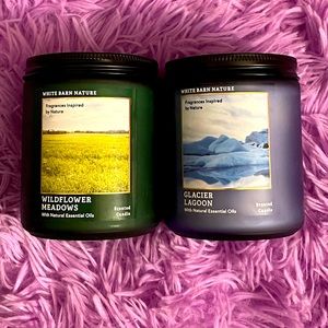 Bath and Body Works Candle Duo
